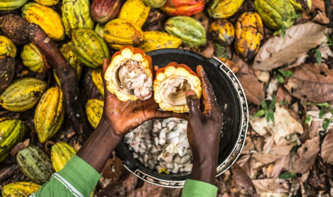 Cocoa Abrabopa, child labour, Mars Wrigley, ASCOT, International Cocoa Initiative,
