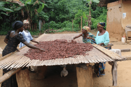 Cadbury Cocoa Farmer Fund Supports 15,600 Women To Improve Incomes