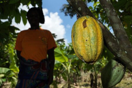 Is Fairtrade A Certification Organisation Or A “Fair Trade” Advocate?