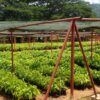 Green technologies