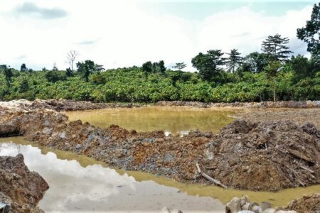 European Union Threatens Import Ban On Ghana’s Cocoa