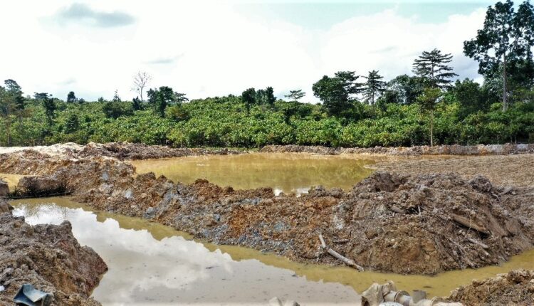 European Union, Ghana, Cocoa, EU Ban,