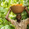 African Farmers, Africa Fairtrade Convention,