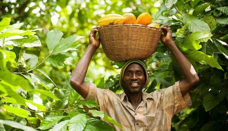 African Farmers, Africa Fairtrade Convention,