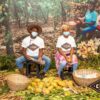 Cocoa, value addition, strategy, Cocobod,