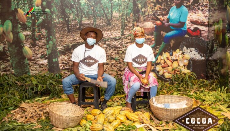 Cocoa, value addition, strategy, Cocobod,