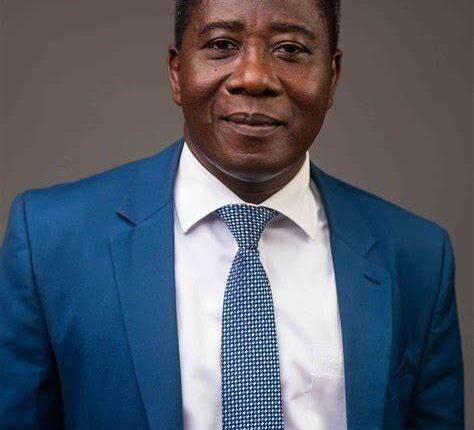 Hybrid cocoa seedlings, COCOBOD,