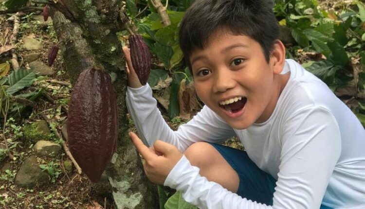 Malaysian cocoa, chocolate, Armand Idrizam