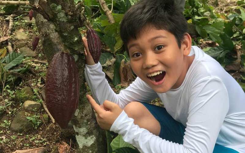 Malaysian cocoa, chocolate, Armand Idrizam