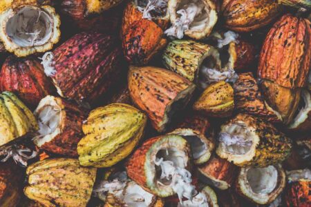 Ivory Coast Cocoa Waste Electricity Project Will Serve 1.7Million People
