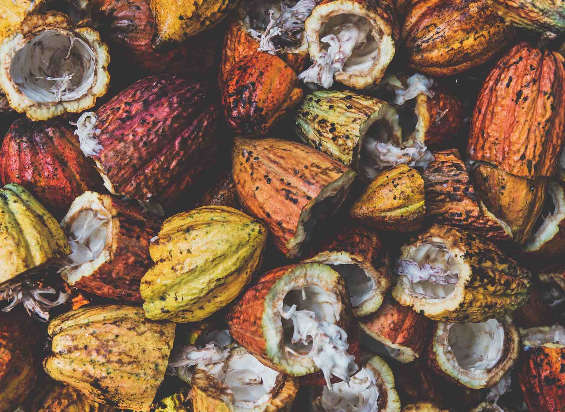 Cocoa waste electricity, waste to power, Ivory Coast, Divo