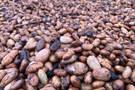 3 Ghanaian Farmers Shortlisted for 2019 International Cocoa Awards Finals