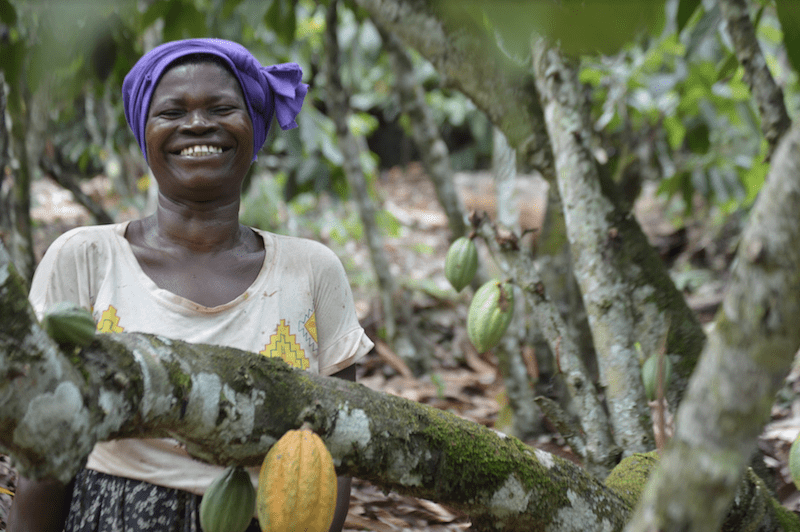 Ghana highest, cocoa crop, production, 2020/21 season, COCOBOD,