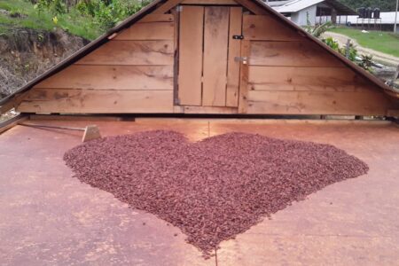 Cacao Made With Love From Finca Dos Vistas – Aripo, Trinidad