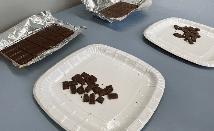Lab-Grown Chocolate, Swiss, ZHAW, Zurich University of Applied Sciences,