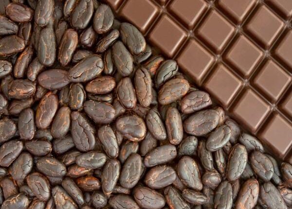 Value Addition, Cocoa, chocolate, Ghana,