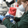 Lab-grown chocolate, fake chocolate, diamonds, DeBeers Corporation, Ghana