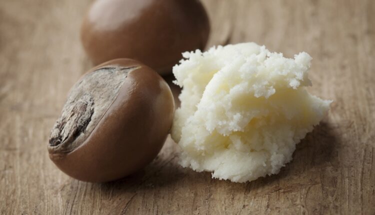 Shea sector, shea butter, shea nuts, shea kernel, CRIG, Ghana,