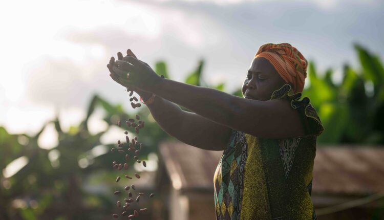 Fairtrade B Lab, SDGs, Sustainable Development Goals, B Corp certification, Ben and Jerry's,