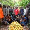 Ghana, cocoa producer, Light Crop season, 2020/21, Cocoa crop year, cocobod,