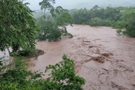 Climate Change-Induced Heavy Rains Threaten Cocoa Production