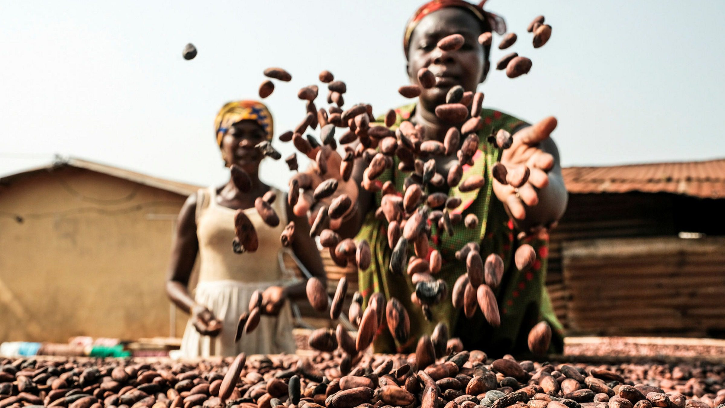 COPEC, Cocoa, Cocoa farmers,