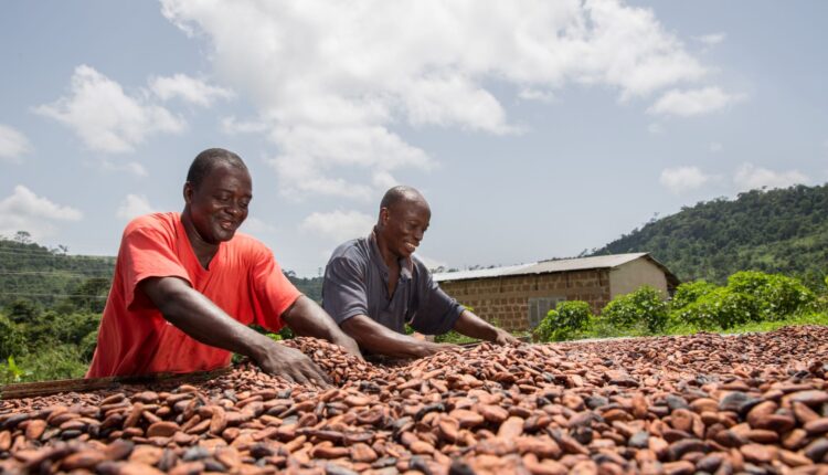Cocoa value chain, chocolate, UMB, Nana Dwemoh Benneh, Universal Merchant Bank, Ghana Cocoa Awards,