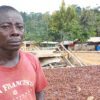 new farmgate price, Dikoto farmers, oil palm plantation, cocoa farms, Cocoa Post,