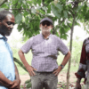 Dutch ambassador, irrigated cocoa, Cocoa Post, Cocoa irrigation, Solidaridad,