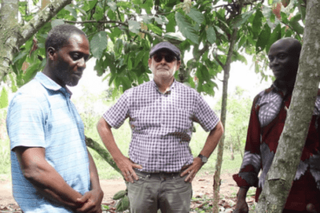 Dutch Ambassador To Ghana Calls For Irrigated Cocoa Farms