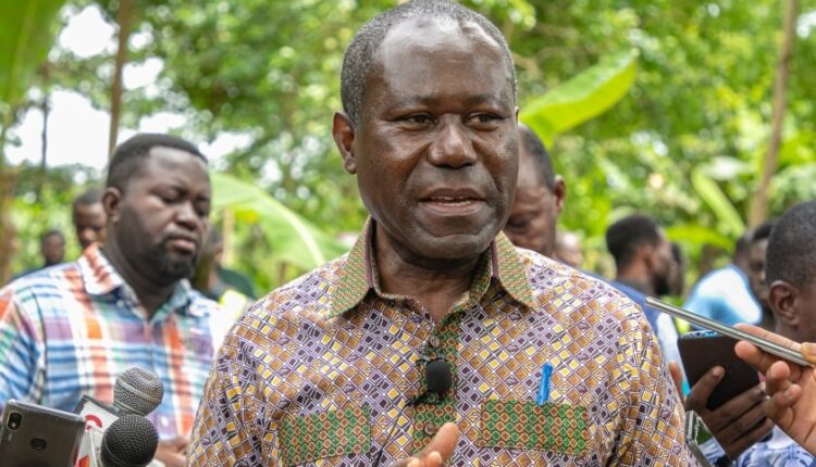 Rehabilitated Cocoa farms, Joseph Boahen Aidoo, National Cocoa Rehabilitation Programme, Cocoa Post,