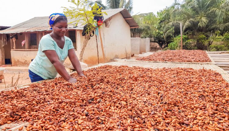 LID information, Cocoa, Living Income Differential, Cocoa Post