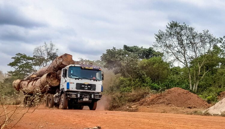 Illegal logging, Deforestation, Ghana, Timber Utilisation Contracts, EU Due Diligence legislation, Cocoa, Illegal logging,