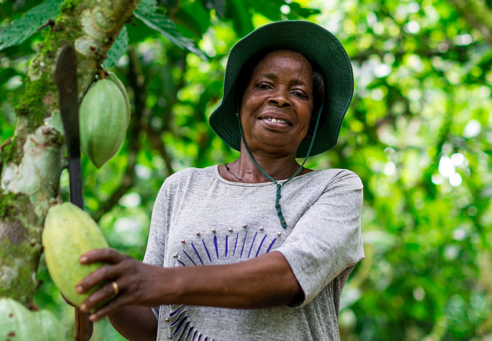 fairtrade cooperatives, Cocoa Post, Ghana Cocoa Board, Cocoa, Women in cocoa,