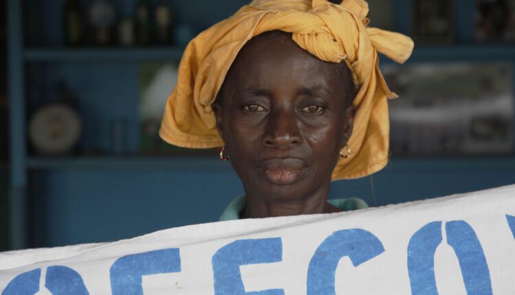 GISCO, BDSI, Cocoa EU Due Diligence legislation, Cocoa Post, Ghana, Cote d'Ivoire, Cocoa farmers, Living income, LID, Women in Cocoa,