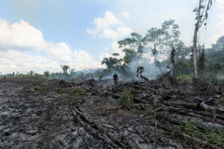 World Environment Day: 5 Ways We Can Help Save Rainforests And The World Every Day  