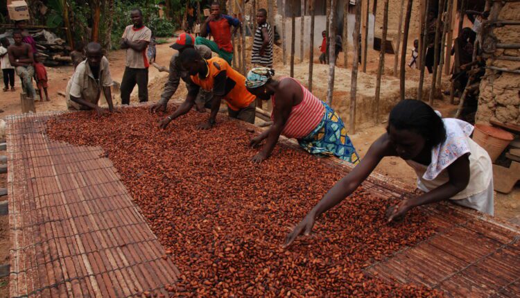 Price subsidies, Cocoa Post, Women in Cocoa, Ghana, Cocoa Life Program, Asunafo North, Ahafo Region, International Women's Day, IWD 2022, Mondelez International, Cocoa Post, Yaa Peprah Amekudzi,
