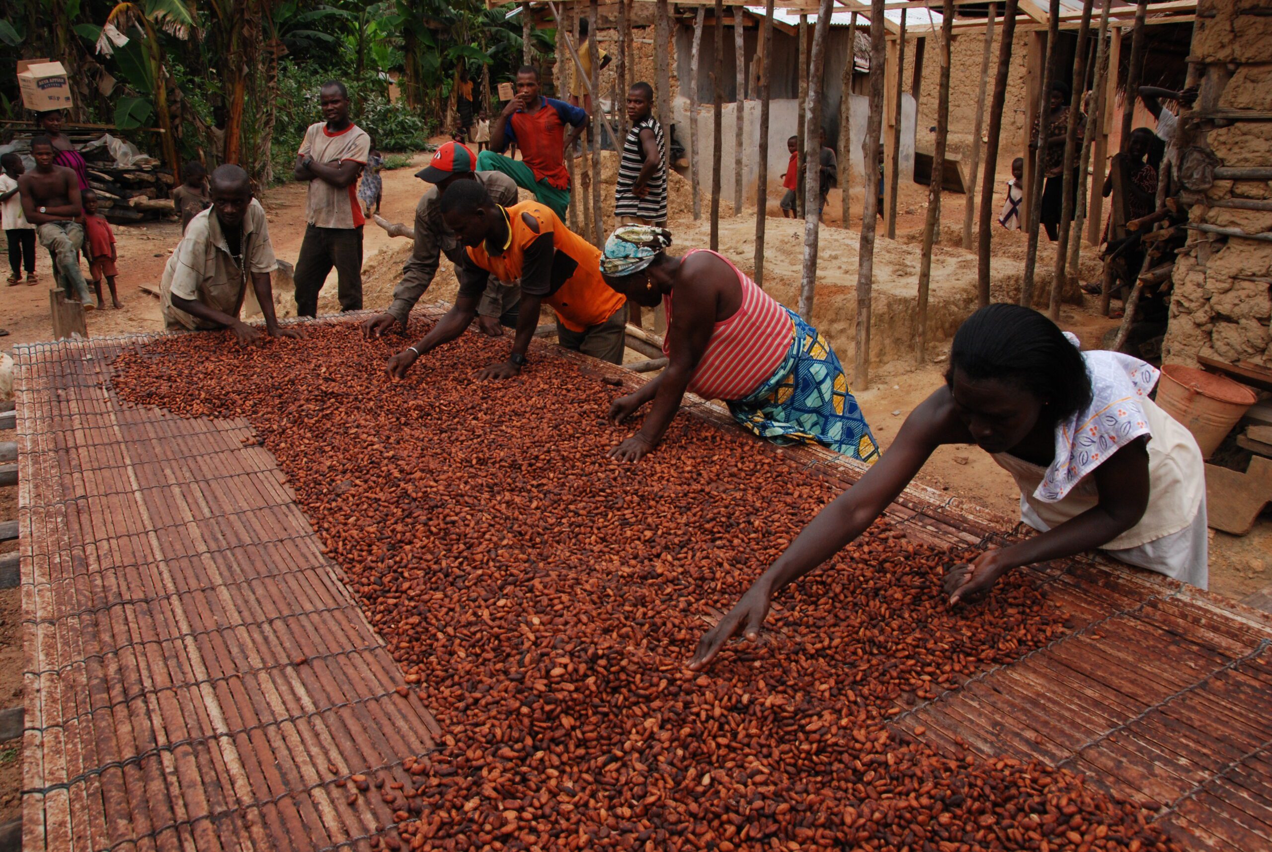 Price subsidies, Cocoa Post, Women in Cocoa, Ghana, Cocoa Life Program, Asunafo North, Ahafo Region, International Women's Day, IWD 2022, Mondelez International, Cocoa Post, Yaa Peprah Amekudzi,