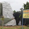 Cocoa Fertilisers, Cocoa Post, Ghana Cocoa Board, COCOBOD, CHED,