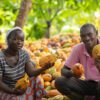 Fairtrade impact, Fairtrade International, Fairtrade Africa, Cocoa farmers, Living income, Fairtrade premiums, Cocoa Post, HREDD, Isaac Tongola,