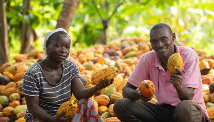 Fairtrade impact, Fairtrade International, Fairtrade Africa, Cocoa farmers, Living income, Fairtrade premiums, Cocoa Post, HREDD, Isaac Tongola,