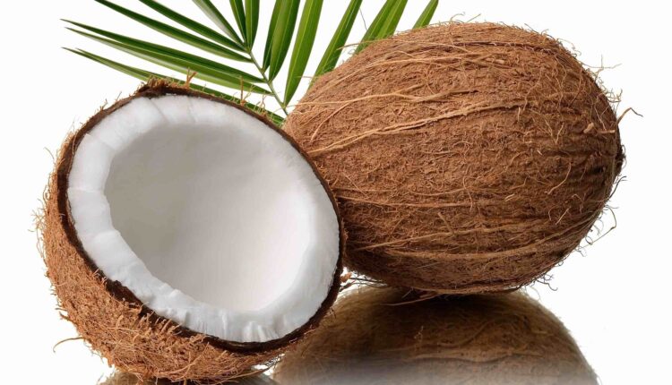 Coconut, Export, GEPA, Desiccated, Ghana, Cocoa Post,