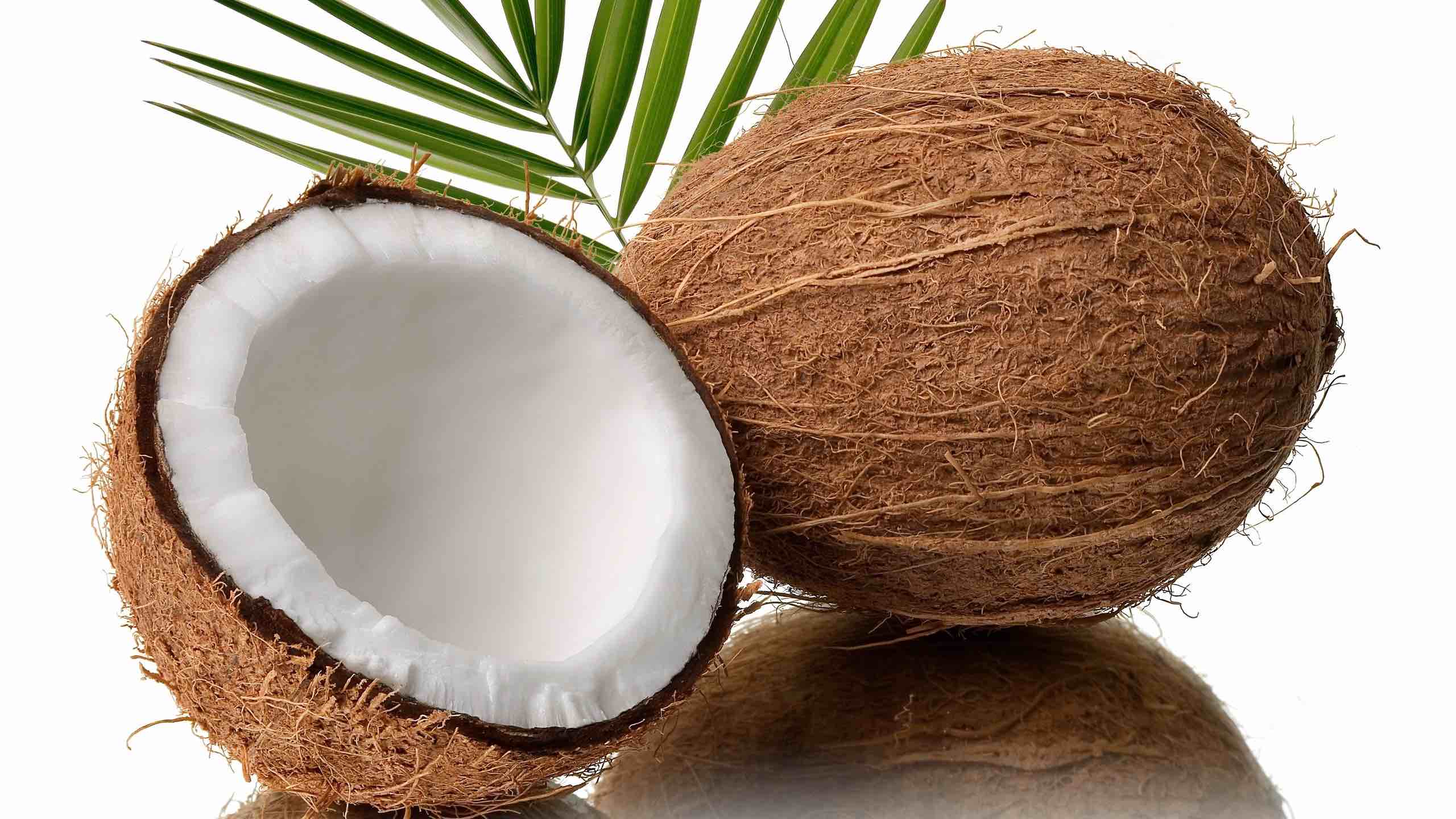 Coconut, Export, GEPA, Desiccated, Ghana, Cocoa Post,