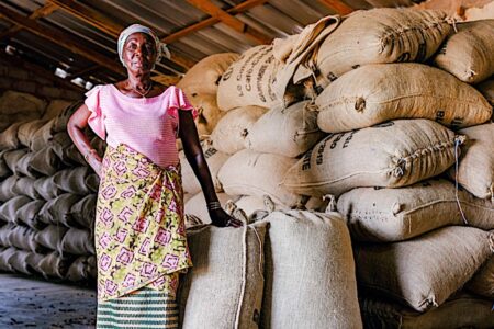 World Bank Pushes Reforms In Ivory Coast Cocoa Sector