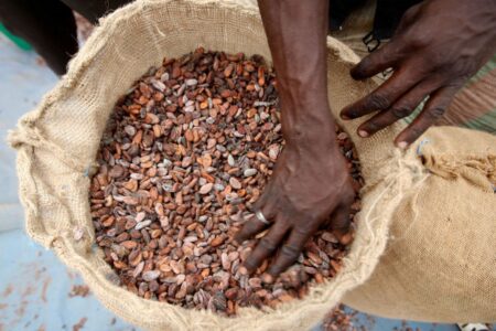 Ivory Coast Increases 2022/23 Cocoa Producer Price By 9%
