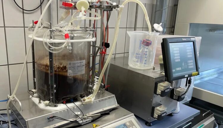 ZHAW, Lab-grown chocolate, fake chocolate, diamonds, DeBeers Corporation, Swissinfo, WNWN Food, Planet A, California cultured, non-cocoa chocolate, Cocoa Post,