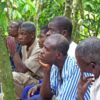 Cocoa Day, Cocoa price increase, Cocoa producer price, Cocoa price, Ghana, Cocoa Post,