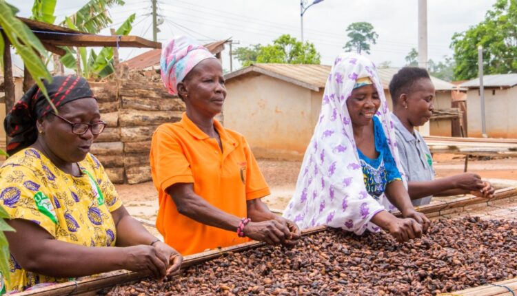 Cocoa Sustainability, Cocoa Life Program, Mondelez International, Ghana, Yaa Peprah Amekudzi,