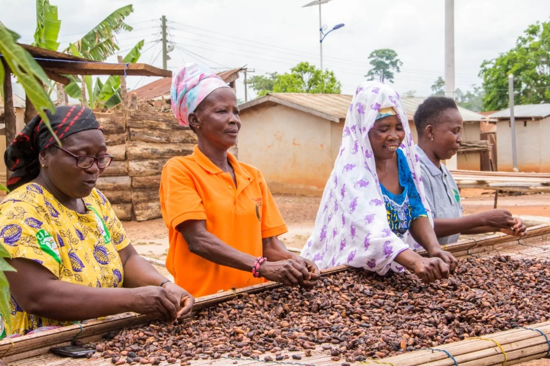 Cocoa Sustainability, Cocoa Life Program, Mondelez International, Ghana, Yaa Peprah Amekudzi,