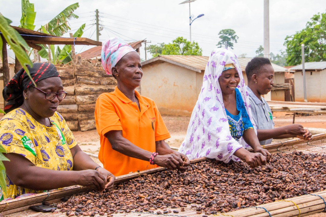 Cadbury-maker Mondelez to invest $600 mln on sustainable cocoa sourcing